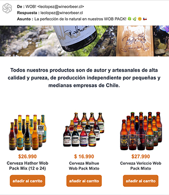 Newsletter comercial leolopez.cl